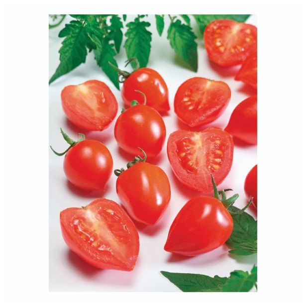 PLODOVKE VOLMARY LYCOPERSICON LICOPERSICUM EVITA