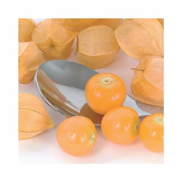 VRTNINA VOLMARY PERUJSKO VOLČJE JABOLKO