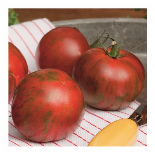 PLODOVKE VOLMARY RDEČ PROGAST PARADIŽNIK TIMENTA F1