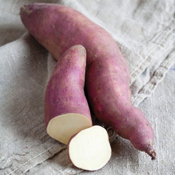 ZELENJAVNA SADIKA VOLMARY SLADKI KROMPIR