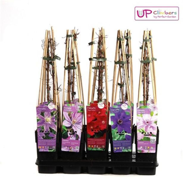 VZPENJALKA SROBOT MIX L15