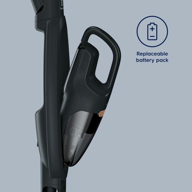 POKONČNI SESALNIK ELECTROLUX WQ61-42GG