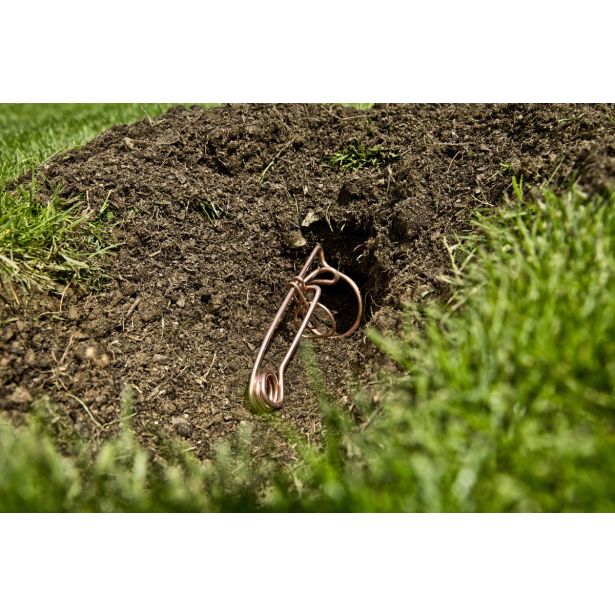 PAST ZA GLODALCE WINDHAGER ZA VOLUHARJE, ŽIČNA CLASSIC