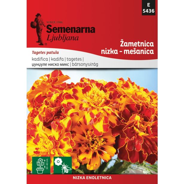 TAGETES SEMENARNA ŽAMETNICA MEŠANICA TAGETE V MALI VREČICI 5436