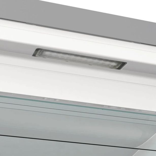 ZAMRZOVALNA OMARA GORENJE FN619EAXL6