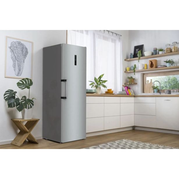 ZAMRZOVALNA OMARA GORENJE FN619EAXL6