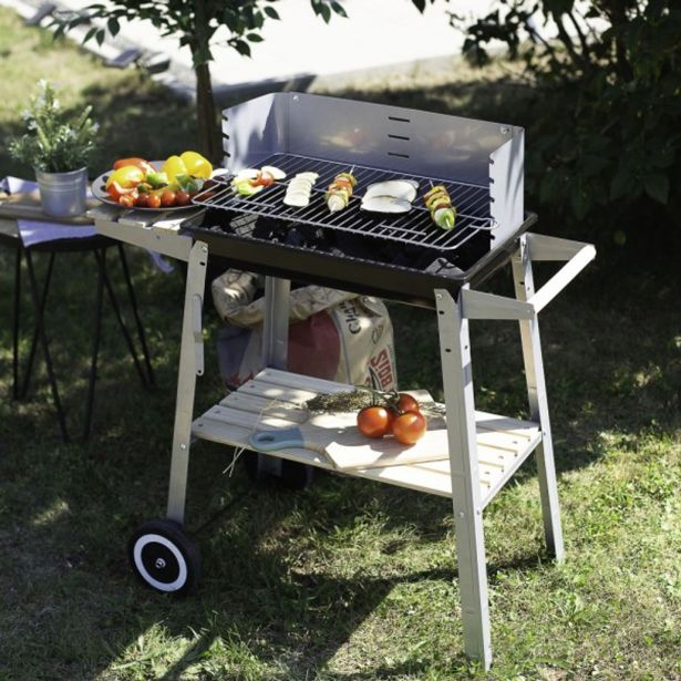 ŽAR NA OGLJE LIVOO DOC244