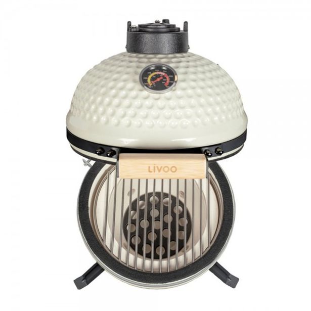 ŽAR NA OGLJE LIVOO DOC283C