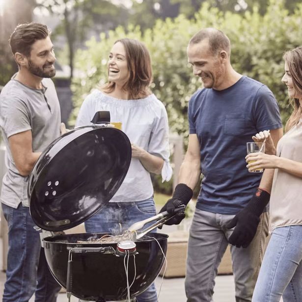 ŽAR NA OGLJE WEBER MASTERTOUCH PREMIUM GBS E-5770