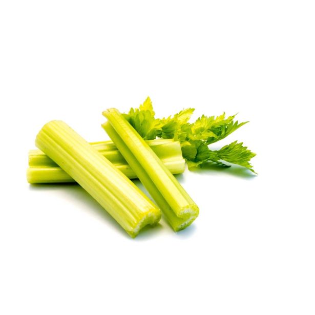 KORENOVKE L'ORTO FRUTTIFERO ZELENA BELA 4/1 DAYBREAK F1 KULTIPAK