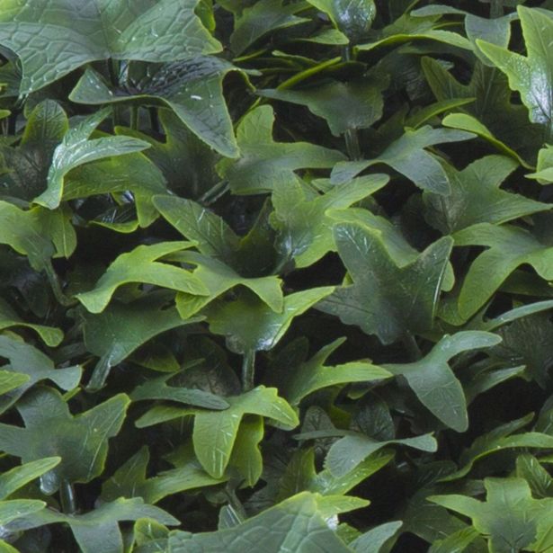 ZELENA STENA INTER CERAMIC CASCAIS 50X50 CM POLIETILEN ZELENA