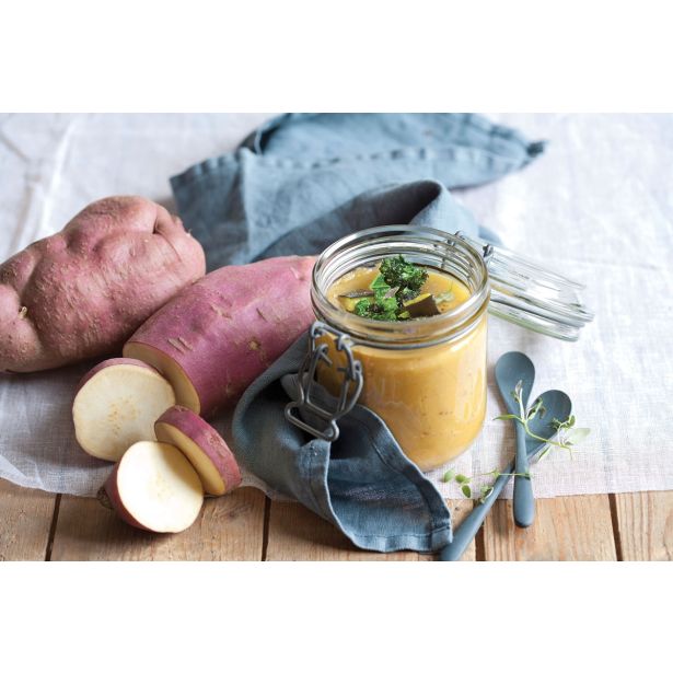 ZELENJAVNA SADIKA VOLMARY SLADKI KROMPIR L12 ERATO WHITE