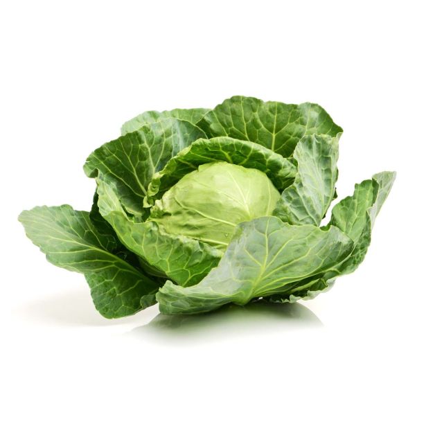 KAPUSNICE L'ORTO FRUTTIFERO ZELJE 4/1 CAP. CORONET F1 KULTIPAK