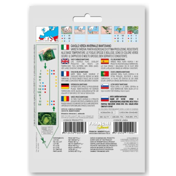 KAPUSNICA FRANCHI SEMENTI ZIMSKO ZELJE MANTOVANO