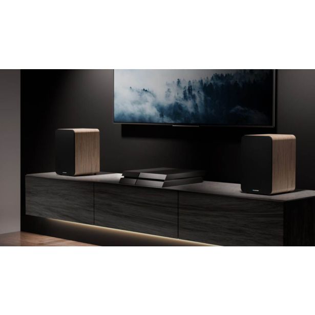 ZVOČNIK BLAUPUNKT BS50OK