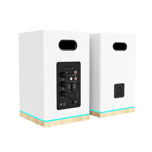 ZVOČNIK BLAUPUNKT BS60WH