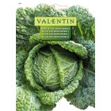 KAPUSNICA VALENTIN 102 OHROVT DI CASTELNUOVO INVERNALE