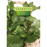 LISTNA ZELENJAVA VALENTIN 1070 RUKOLA ERUCA SATIVA