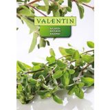 MAJARON VALENTIN 1094