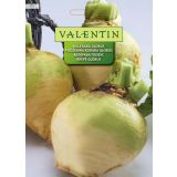 KORENOVKA VALENTIN 171 KOLERABA GLOBUS GLOBUS