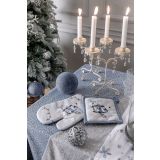 NOVOLETNI SET PRIJEMALKE IN ROKAVICE