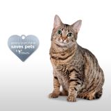 ROČNI AKUMUL. SESALNIK BISSEL 2278N PET HAIR ERASER