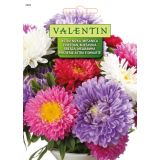 ASTRA VALENTIN 2402 NIZKA MEŠANICA