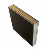 GRADBENA VEZANA PLOŠČA-T FIX 2500X1250X18 MM F/M