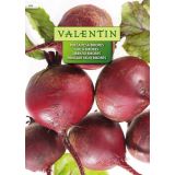 KORENOVKA VALENTIN 262 RDEČA PESA BIKORES