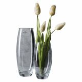 STEKLENA VAZA SANDRA RICH 26X8 AMARYLLIS