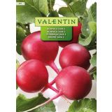 KORENOVKA VALENTIN 297 REDKVICA SAXA 3