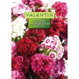 NAGELJ VALENTIN 3133 TURŠKI, MEŠANICA