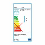 LED PLAFONJERA EGLO 31593 PASTERI '320 RJAVA 12W LED