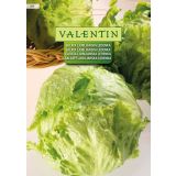 LISTNA ZELENJAVA VALENTIN 354 SOLATA LJUBLJANSKA LEDENKA