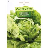 LISTNA ZELENJAVA VALENTIN 355 SOLATA ATTRAKTION