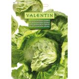 LISTNA ZELENJAVA VALENTIN 361 SOLATA DALMATINSKA LEDENKA