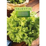 LISTNA ZELENJAVA VALENTIN 362 SOLATA GRAND RAPIDS (GENTILINA)