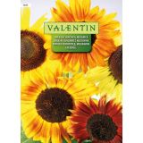 SONČNICA VALENTIN 3695 MEŠANICA
