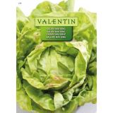 LISTNA ZELENJAVA VALENTIN 379 SOLATA MAY KING