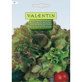 LISTNA ZELENJAVA VALENTIN 381 SOLATA AMERIKANISCHER BRAUNER