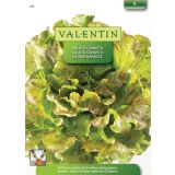 LISTNA ZELENJAVA VALENTIN 388 SOLATA CANASTA