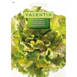 LISTNA ZELENJAVA VALENTIN 388 SOLATA CANASTA