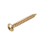 VIJAK Z LEČASTO GLAVO 3.0X16 A2G PZ1 FT V ZAVITKU JE 30 KOS