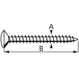 VIJAK Z LEČASTO GLAVO 3.0X30 A2G PZ1 FT V ZAVITKU JE 15 KOS