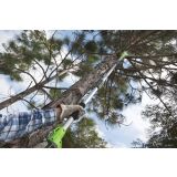 AKUMULATOR. VIŠINSKA ŽAGA GREENWORKS 40V BREZ BATERIJE IN POLNILNIKA