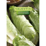LISTNA ZELENJAVA VALENTIN 418 RADIČ PAN DI ZUCCHERO
