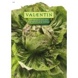 LISTNA ZELENJAVA VALENTIN 419 RADIČ VARIEGATA DI CASTELFRANCO