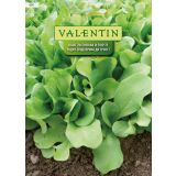 LISTNA ZELENJAVA VALENTIN 424 RADIČ ZUCCHERINA DI TRIESTE
