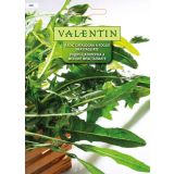 LISTNA ZELENJAVA VALENTIN 428 RADIČ CATALOGNA A FOGLIE FRAST.