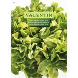 LISTNA ZELENJAVA VALENTIN 430 ENDIVIJA BIONDA A CUORE PIENO
